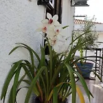 Bba1 Climatise Centre-ville Apartament *