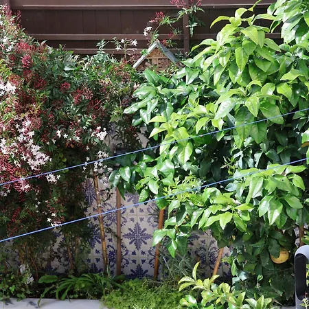 아파트 Bba1 Climatise Centre-ville *