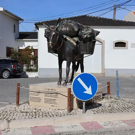 Bba1 Climatise Centre-ville * Ferrel (Leiria)