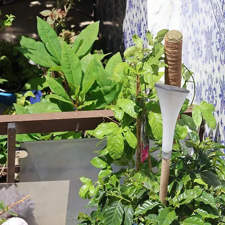 Bba1 Climatise Centre-ville * 페렐