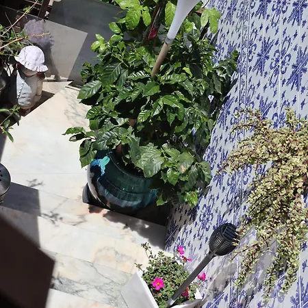 Bba1 Climatise Centre-ville * 페렐