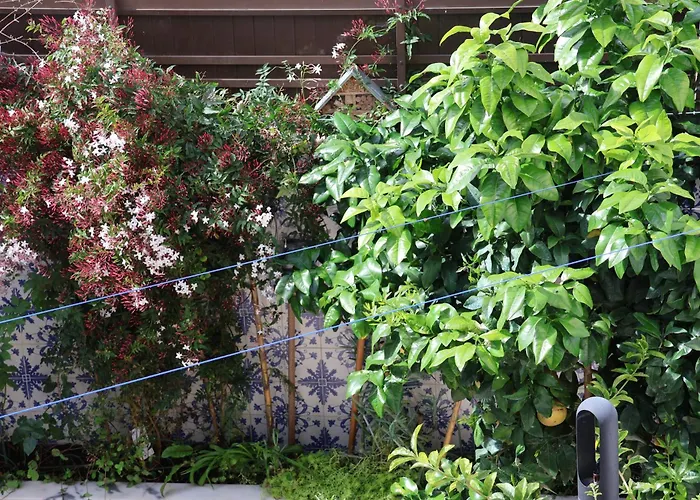 公寓 Bba1 Climatise Centre-ville *